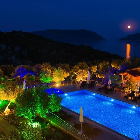 Doganin Ruhu & Nyaraló *