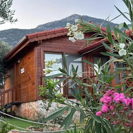 Doganin Ruhu & Nyaraló Kaş