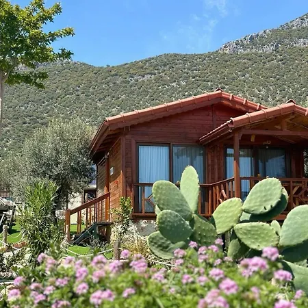 Doganin Ruhu & Nyaraló *