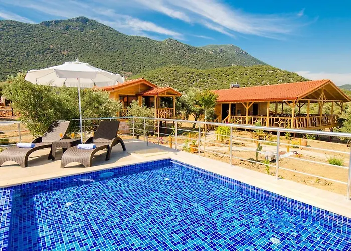 Doganin Ruhu & カシュ