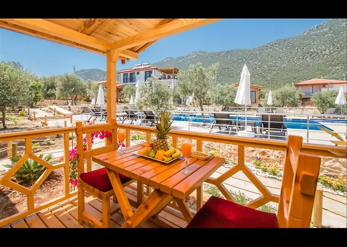 Doganin Ruhu & カシュ