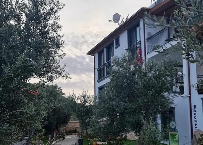 Doganin Ruhu & * カシュ