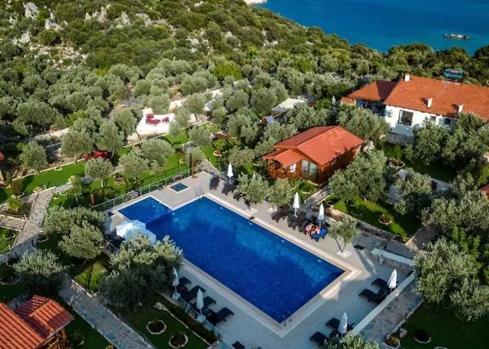 Doganin Ruhu & カシュ