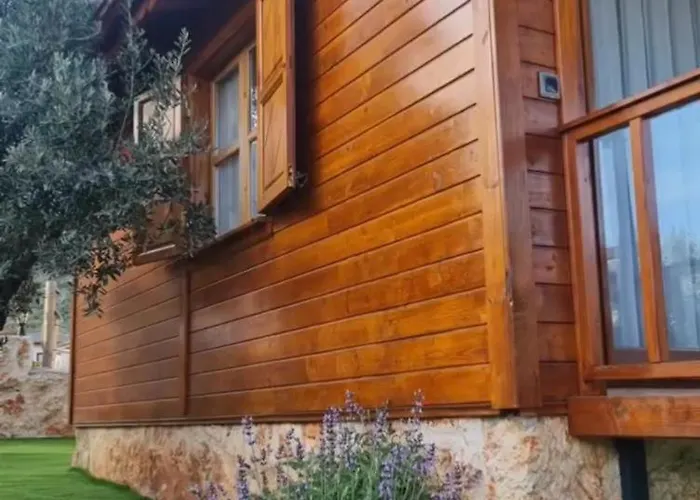 別荘 Doganin Ruhu & *