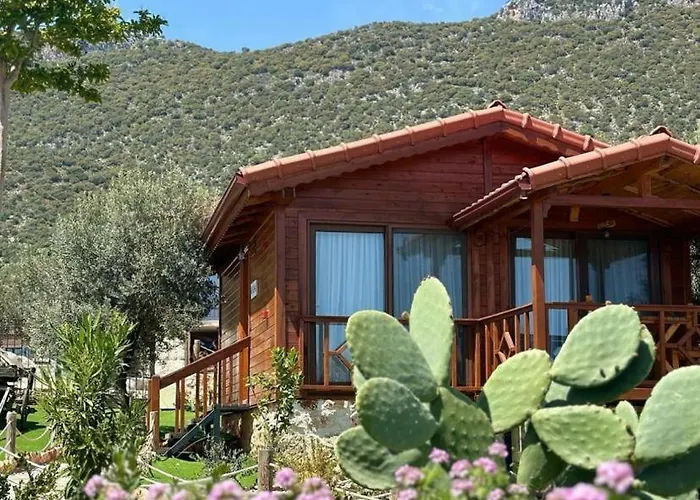 Doganin Ruhu & 別荘 *