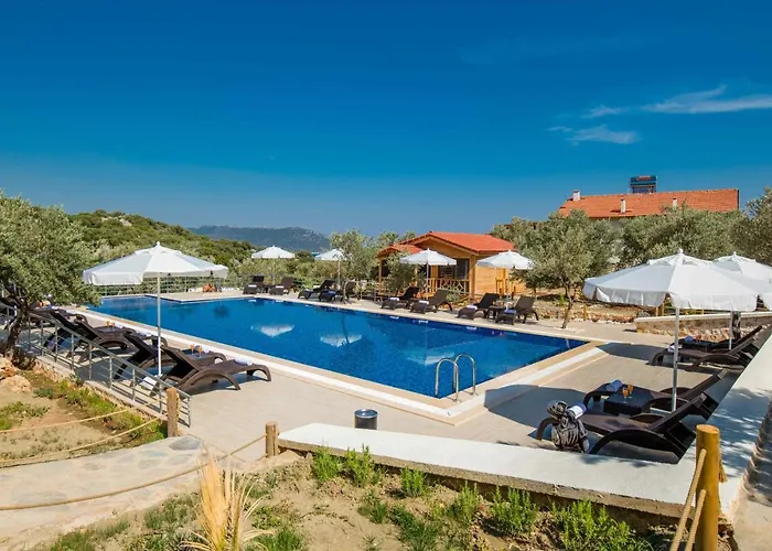 Doganin Ruhu & Будинок відпочинку *