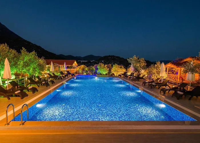 Doganin Ruhu & Каш