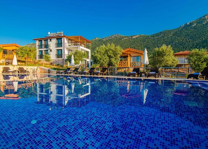 Будинок відпочинку Doganin Ruhu & *