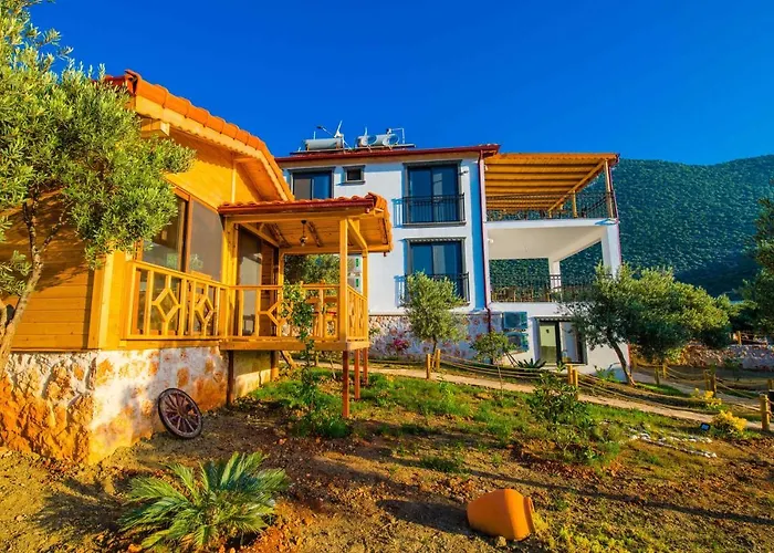 Doganin Ruhu & * Каш