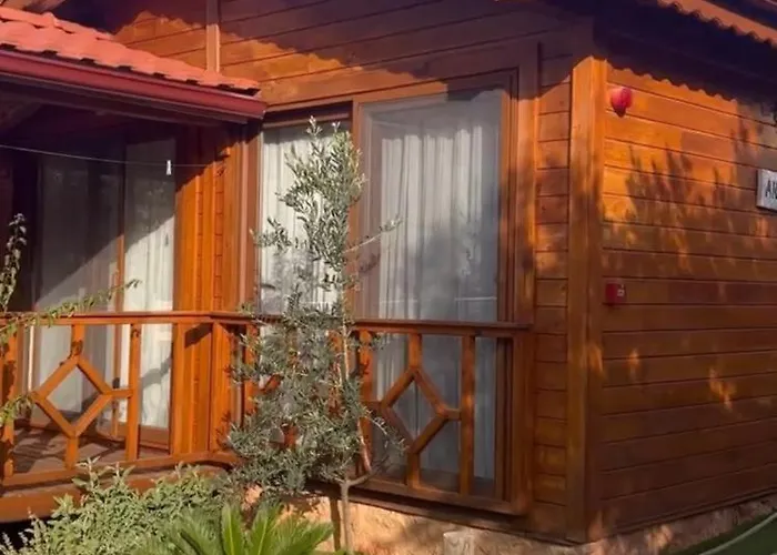 Doganin Ruhu & * Каш